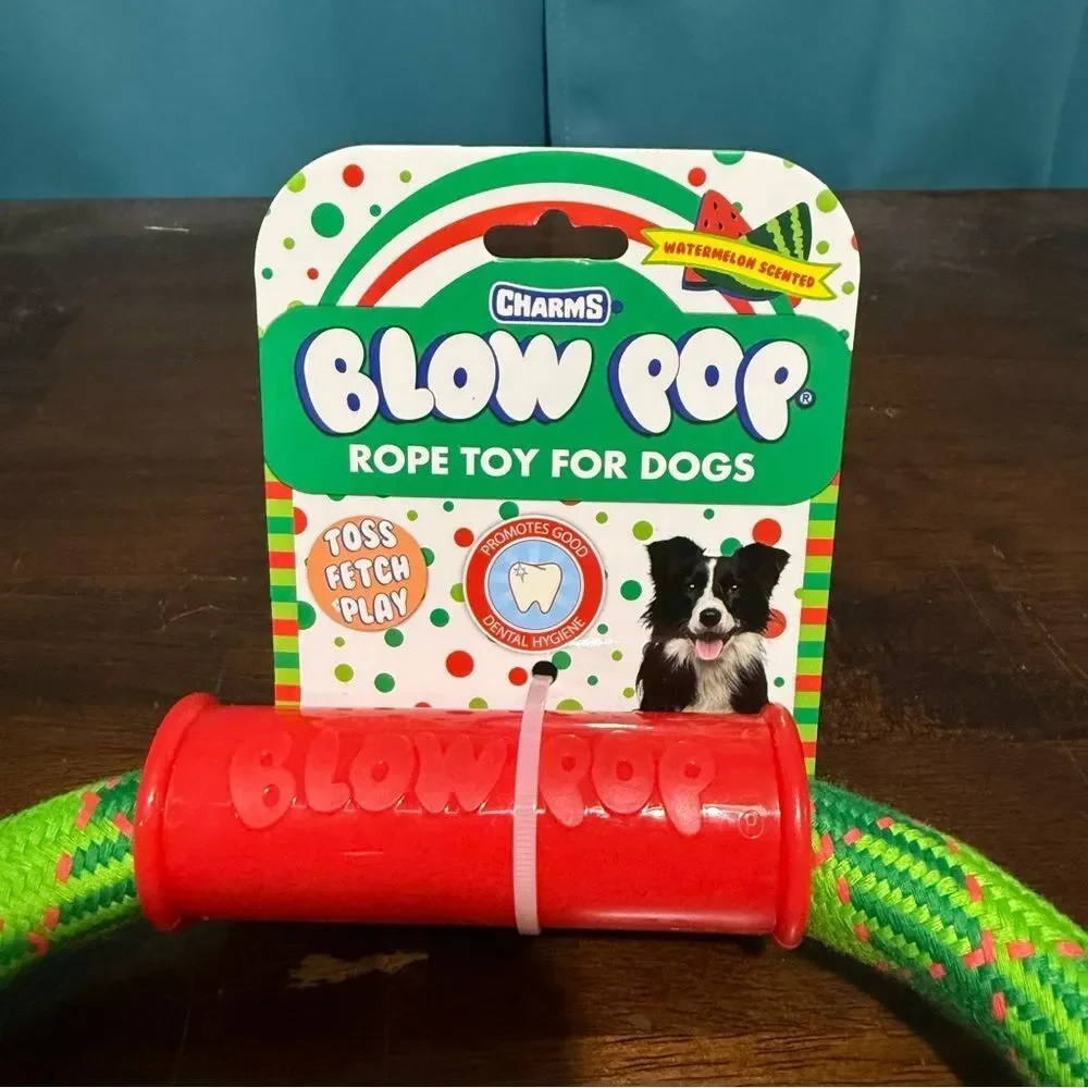 Charms Blow Pop-themed rope dog toy